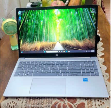 HP 15 i3-1315U(16/256)