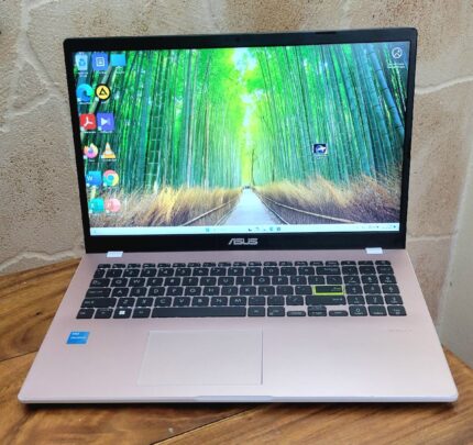 ASUS E510 intel N4500(4/256)